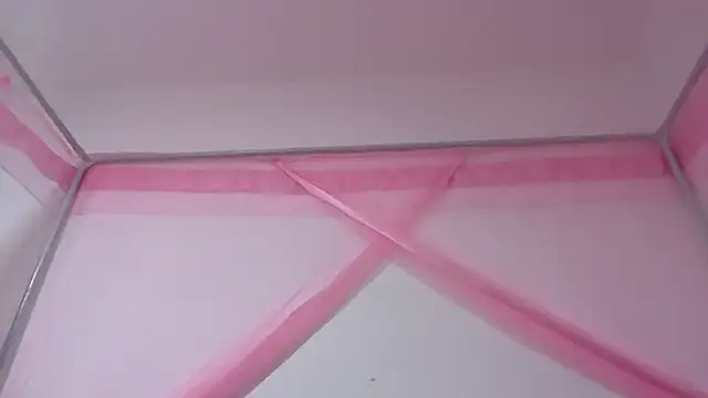 shandiloveslemonss online show from November 28, 3:28 am