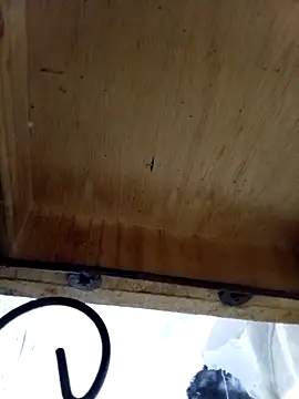 DaniSexFlow online show from October 13, 4:36 am