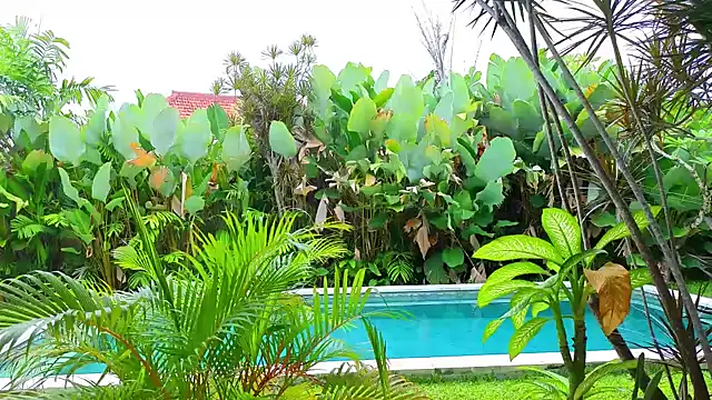 Snapshot of _Katie_Dierse chatting on February 9, 5:38 am Katie Dierse online show from February 9, 5:38 am