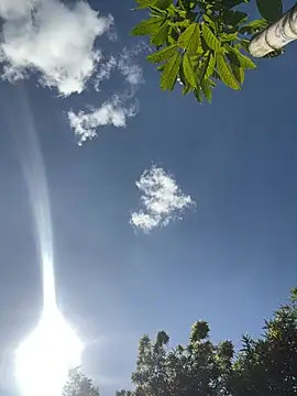 VioletaSubmissive online show from March 19, 8:31 pm