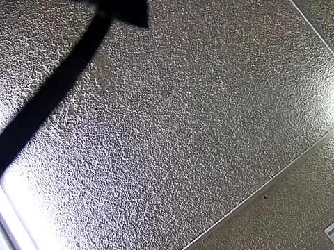 yajahil online show from November 28, 7:36 pm