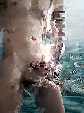 Mr joh online show from December 18, 5:56 am