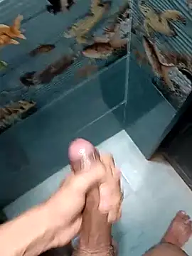 Mr joh online show from February 7, 5:26 am