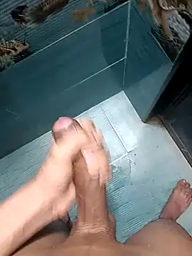 Mr joh online show from February 3, 5:49 am