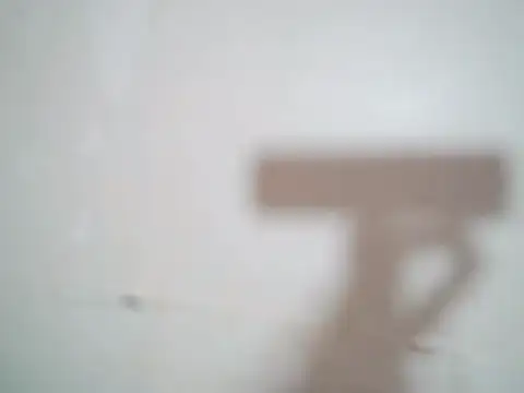 Indian sunshine online show from November 25, 5:19 am