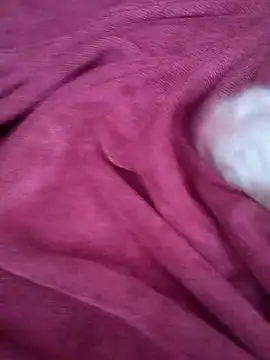 Maksim030 online show from December 10, 9:55 am