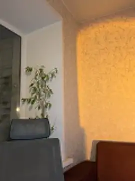 saint cat25 online show from March 4, 7:43 pm