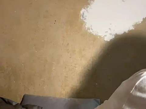 saint cat25 online show from February 18, 9:22 pm