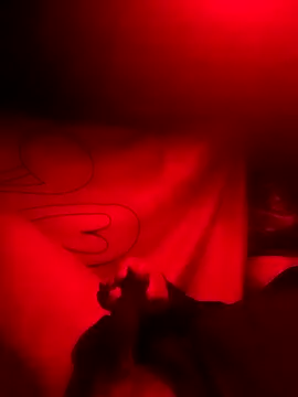 rayhot69 online show from December 23, 3:50 am