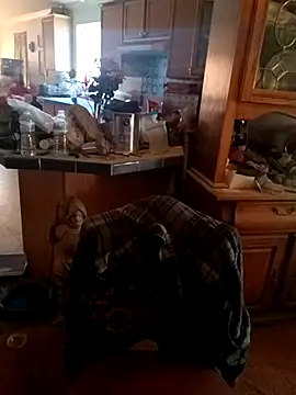 wilsons12 online show from November 28, 8:09 pm