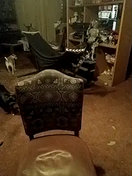 wilsons12 online show from February 14, 11:10 am