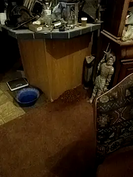 wilsons12 online show from October 26, 3:07 am