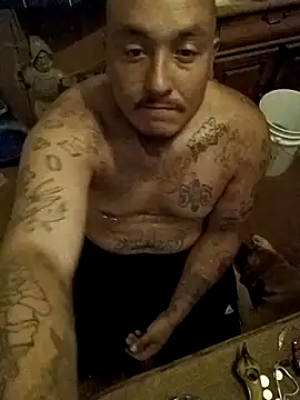 wilsons12 online show from November 7, 2:05 am