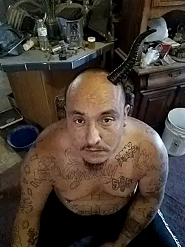 wilsons12 online show from October 25, 2:39 pm