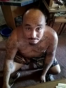 wilsons12 online show from October 3, 7:48 pm