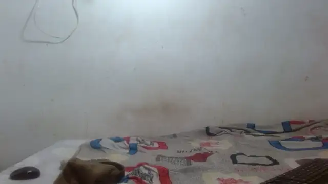 Snapshot of damian_bottom_bigcock chatting on February 16, 8:40 pm damian bottom bigcock online show from February 16, 8:40 pm