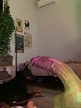 DaisyBooom online show from January 28, 7:00 pm