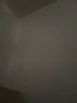 honeybrow online show from March 2, 9:52 pm