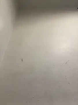 honeybrow online show from January 8, 9:55 pm