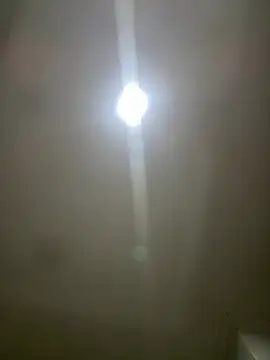 pawmistry online show from March 5, 3:58 am