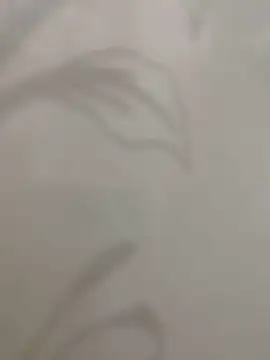 Snapshot of Sheik_z_o chatting on November 16, 5:50 pm Sheik z o online show from November 16, 5:50 pm