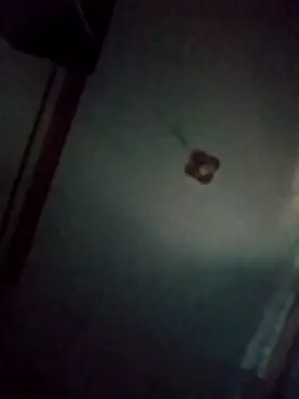 BriannaVincent online show from March 20, 4:35 am