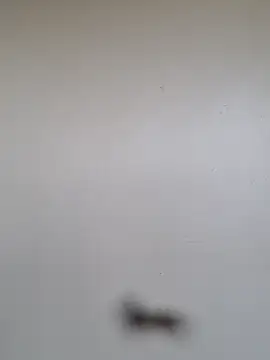 BriannaVincent online show from January 7, 5:01 am