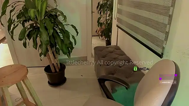  littlecherryy  online show from December 21, 2:03 am
