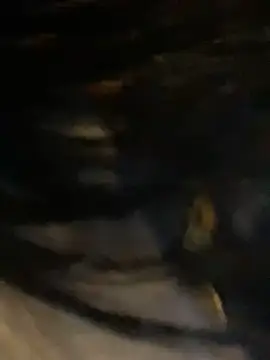 Snapshot of sophie_conor chatting on January 29, 10:32 pm sophie conor online show from January 29, 10:32 pm