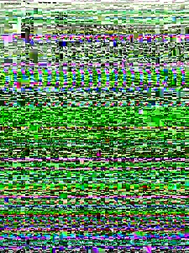 Shona5768 online show from November 20, 8:48 am