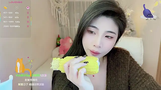 Vaidurya-Yolo online show from January 12, 2:46 pm