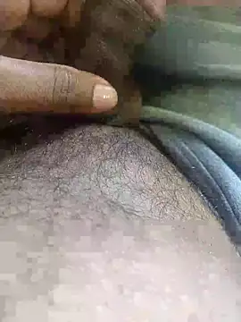 black panth99 online show from October 13, 9:00 am