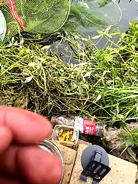 huzi518 online show from October 25, 3:38 am