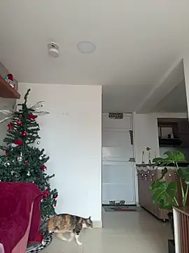 DakotaShelby online show from December 17, 6:57 pm