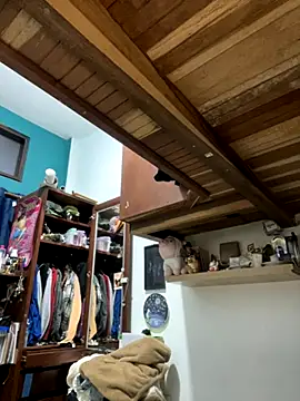 SophiaWeestt99 online show from December 4, 4:11 am