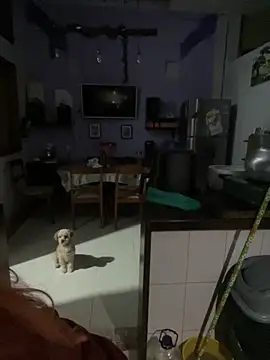 SophiaWeestt99 online show from October 1, 1:44 am