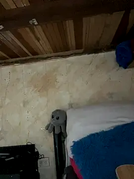 SophiaWeestt99 online show from November 15, 2:15 am