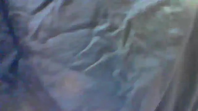 collage hoty online show from September 24, 5:30 pm