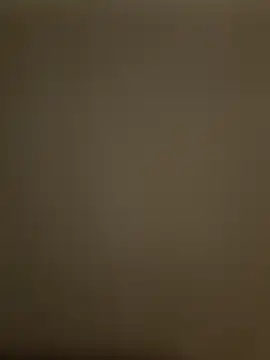 atongnana online show from December 20, 7:55 am