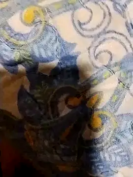 minitranca online show from February 7, 8:17 pm