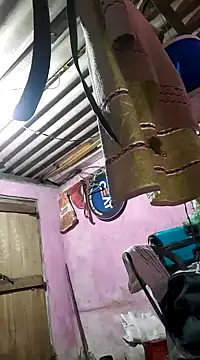 roundbunny online show from January 4, 4:43 pm