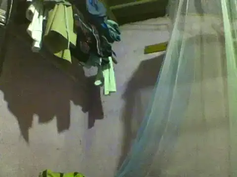 roundbunny online show from December 10, 5:00 pm