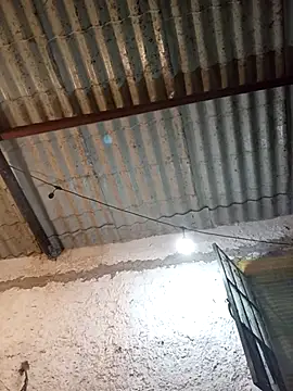 strip 1212 online show from October 28, 12:44 am