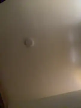 baby lizy online show from March 14, 2:12 pm