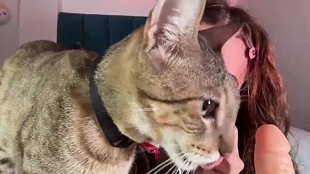 alice guerin  online show from February 20, 6:19 am