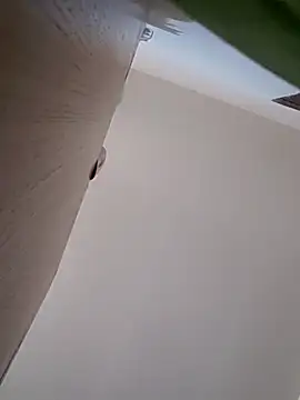 LargeDominoes online show from April 3, 5:30 pm