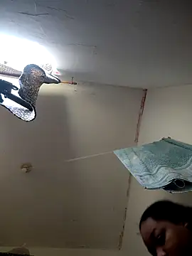 vic pretynhaa online show from April 18, 11:34 am