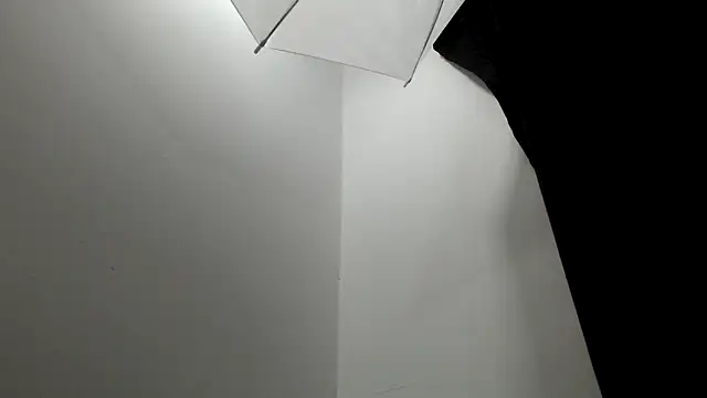 Snapshot of Kitten_Hot_ chatting on December 20, 8:17 am Kitten Hot online show from December 20, 8:17 am