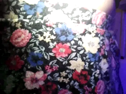 Rosaselvagem online show from December 25, 2:25 am