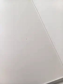 bbferlinaa online show from March 21, 7:51 pm